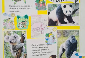 IMG-1665dd98fb3bd571166df5b890200537-V IMG-1665dd98fb3bd571166df5b890200537-V